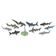 Sharks Toob