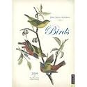 John James Audubon Birds 2009 Desk Calendar
