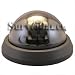 Photo : High Resolution Regular Dome Camera