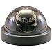 Infared Dome Camera