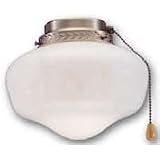 Schoolhouse Ceiling Fan Light Kit, 9" Antique Brass