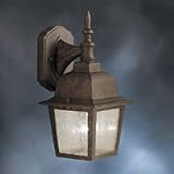 1-Light Oudoor Wall Mount