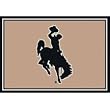 Wyoming Cowboys 7' 8" x 10' 9" Team Spirit Area Rug