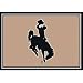 Wyoming Cowboys 7' 8" x 10' 9" Team Spirit Area Rug