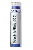 Boiron Galphimia Glauca 30c   80 Pellets