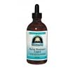 Source Naturals Wellness Herbal Resistance Liquid, 4 Fluid Ounce