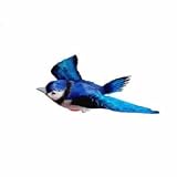 Blue Jay Fly-Thru 3D Magnetic Window Ornament