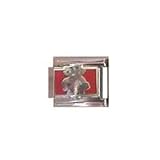 Wisconsin Badgers Italian Style Charm