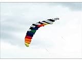 #NEU 2m Lenkmatte SPEED 200x90 Kite Lenkdrache, Zweileiner - 