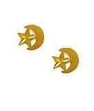 14k Yellow Moon and Star Friction-Back Earrings