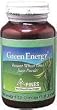 100% Wheat Grass Powder - 3.5 oz - Powder