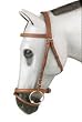 Exmoor Event Bridle