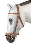 Exmoor Event Bridle