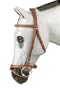 Exmoor Event Bridle