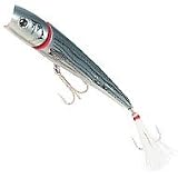 Knuckle-Head Baby Striper 5