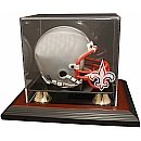 New Orleans Saints Zenith Mini Helmet Display Case