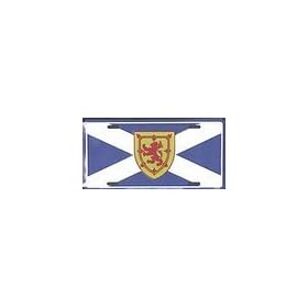 Scotland License Plate (st. andrews cross with rampant lion)