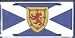 Scotland St Andrews Cross License Plate Image