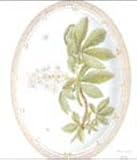 Royal Copenhagen Flora Danica Extra - Large Oval Platter