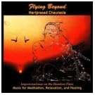 Flying Beyond