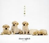 犬のお願い
