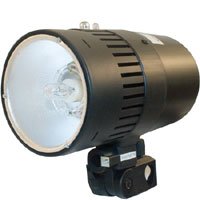 Adorama Budget Studio Monolight Flash Kit #3, with 2 100 watt Second Budget Flashes, Light Stands, 1 Umbrella, Barndoor, Snoot and Softex Carry Case.