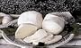 Buffalo Fresh Mozzarella Cheese Arrives From Italy Every Week 8oz 4pcs for $53.98
