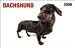   - Dachshund In Your Face! 2008 Wallet Calendar - Dog Calendars