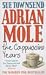 Adrian Mole: The Cappuccino Years (Paperback)