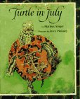 Turtle in July