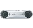 Sony SRS-T33 Travel Speakers (Silver)