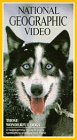 National Geographic Video: Those Wonderful Dogs