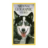 National Geographic Video: Those Wonderful Dogs [VHS]