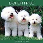Bichon Frise 2009 Wall Calendar