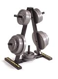 Golds Gym Weight Plate Tree