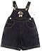 Baby : Jeff Gordon Racing Team Driver Toddler Overalls