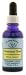 Flower Essence Services (FES) - Chestnut Bud - Healingherbs Flower Essences of Dr. Bach 1 oz