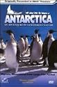 Antarctica - An Adventure of a Different Nature (Large Format)
