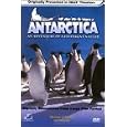 Buy Antarctica - An Adventure of a Different Nature (Large Format)