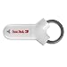Sandisk