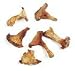 Gourmet Food : Earthy Delights Dried Chanterelle #1 Mushroom 8 oz