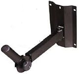 Apex Single Speaker Wall Mount with Tilt - B000NE8SQ6