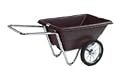 Garden Cart 5.5 cu. ft. 16" Bike Tire (Blue Tub)