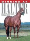 : Winning at Halter