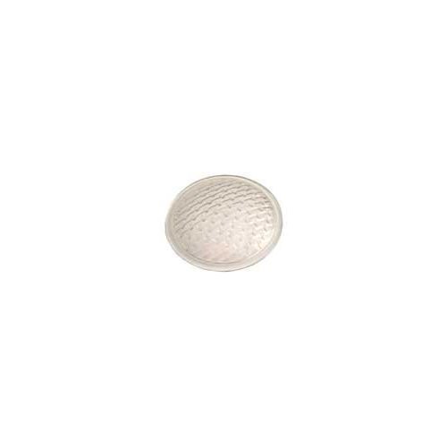 Pentair 79100100 Amerlite Clear 8 3/8