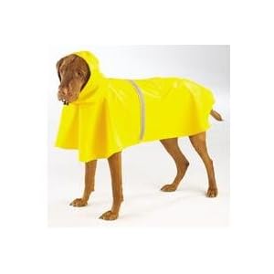 yellow dog raincoat