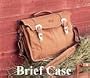 Brief Case