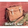 Brief Case