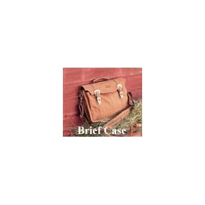 Brief Case