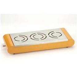 Typhoon tangerine triple food warmer